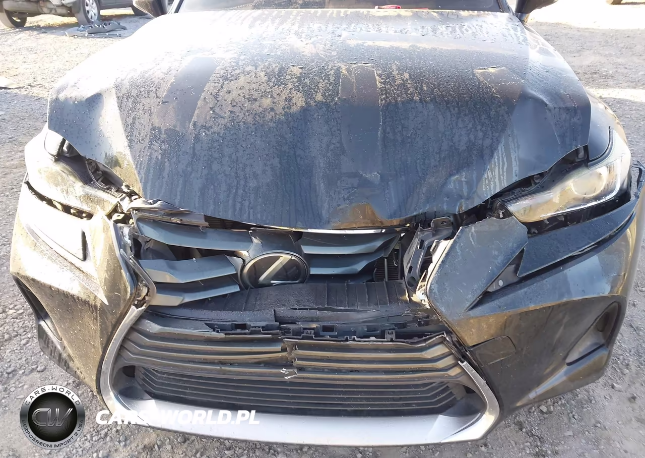 2018 Lexus Is 300 VIN:JTHBA1D25J5072497 - 6