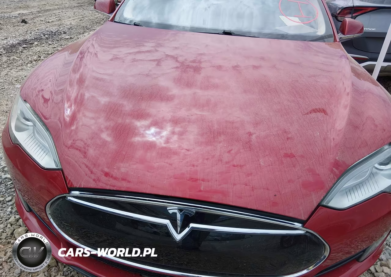 2016 Tesla Model S 60-70-75-85 VIN:5YJSA1E18GF135834 - 10