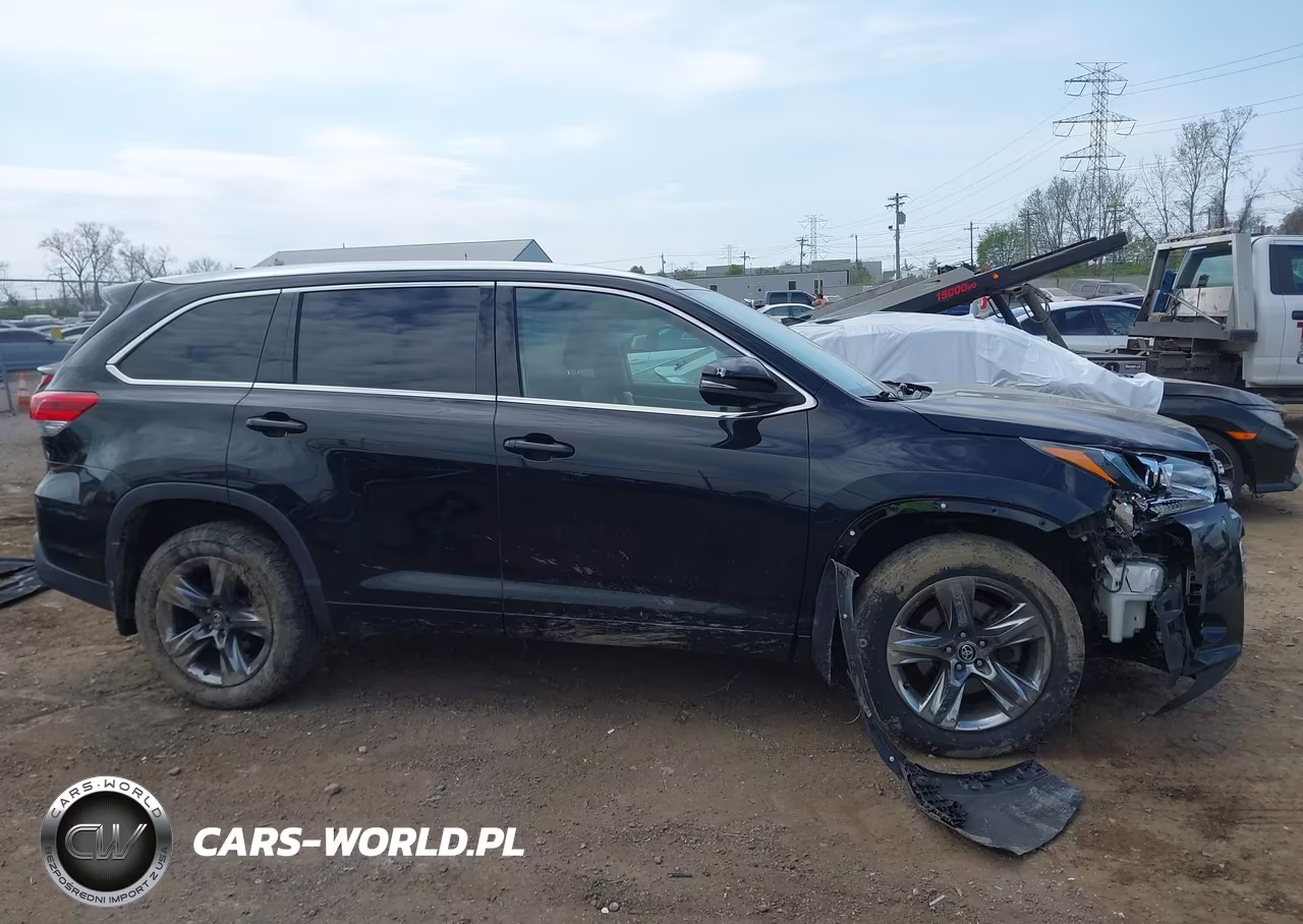 2019 Toyota Highlander Limited Platinum VIN:5TDDZRFH2KS993865 - 13
