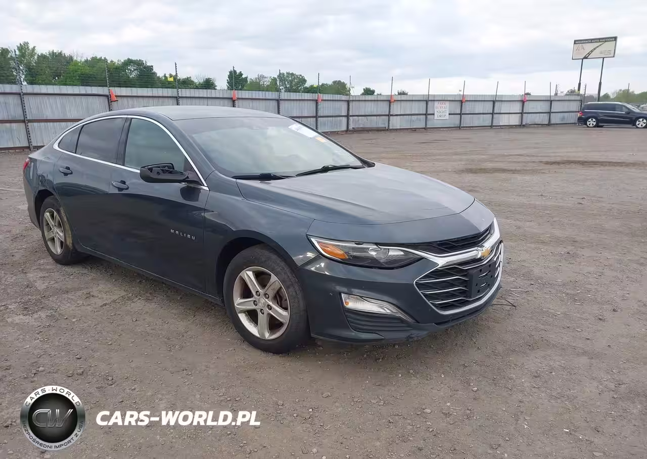 2019 Chevrolet Malibu 1Fl