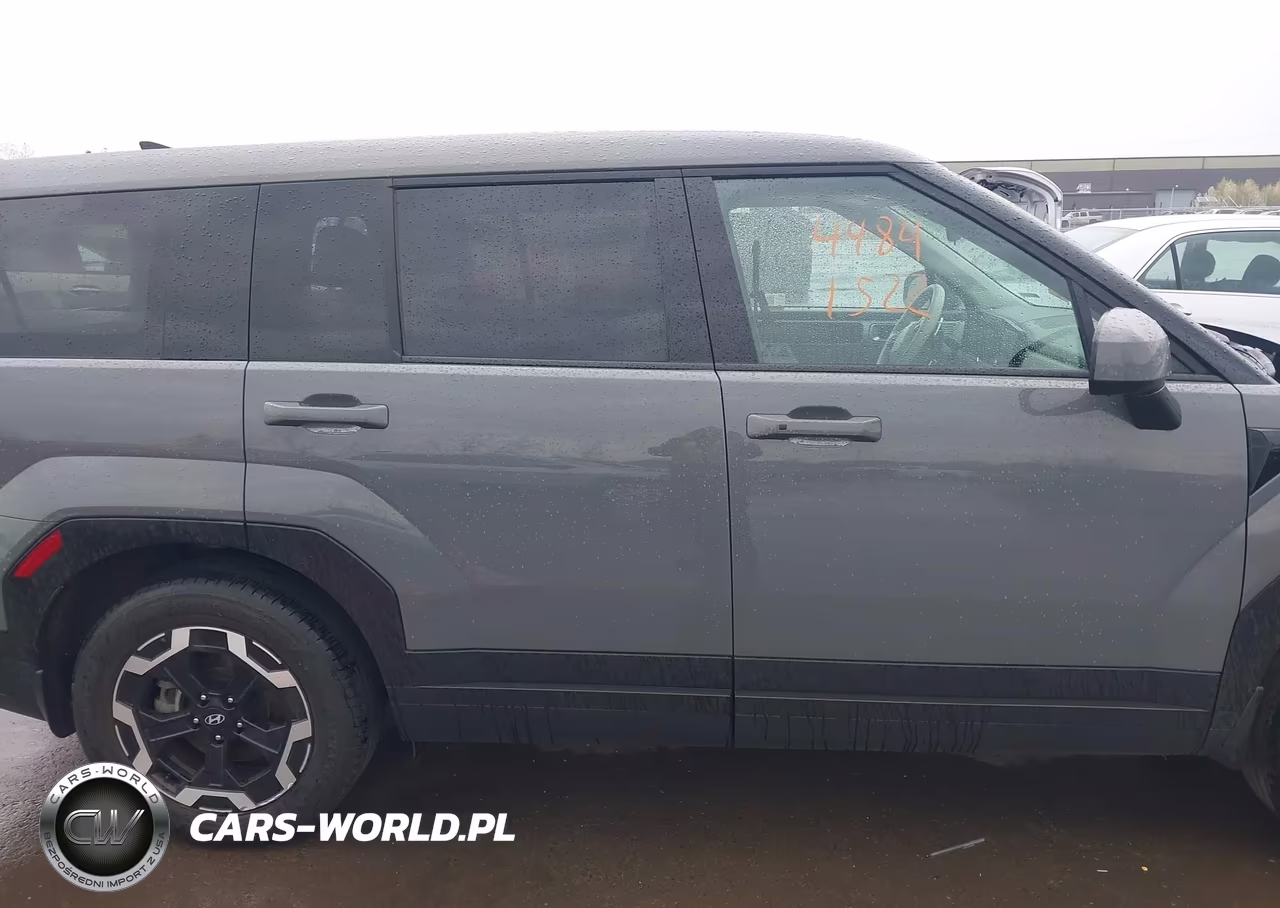 2025 Hyundai Santa Fe Se VIN:5NMP1DGL1SH113266 - 13
