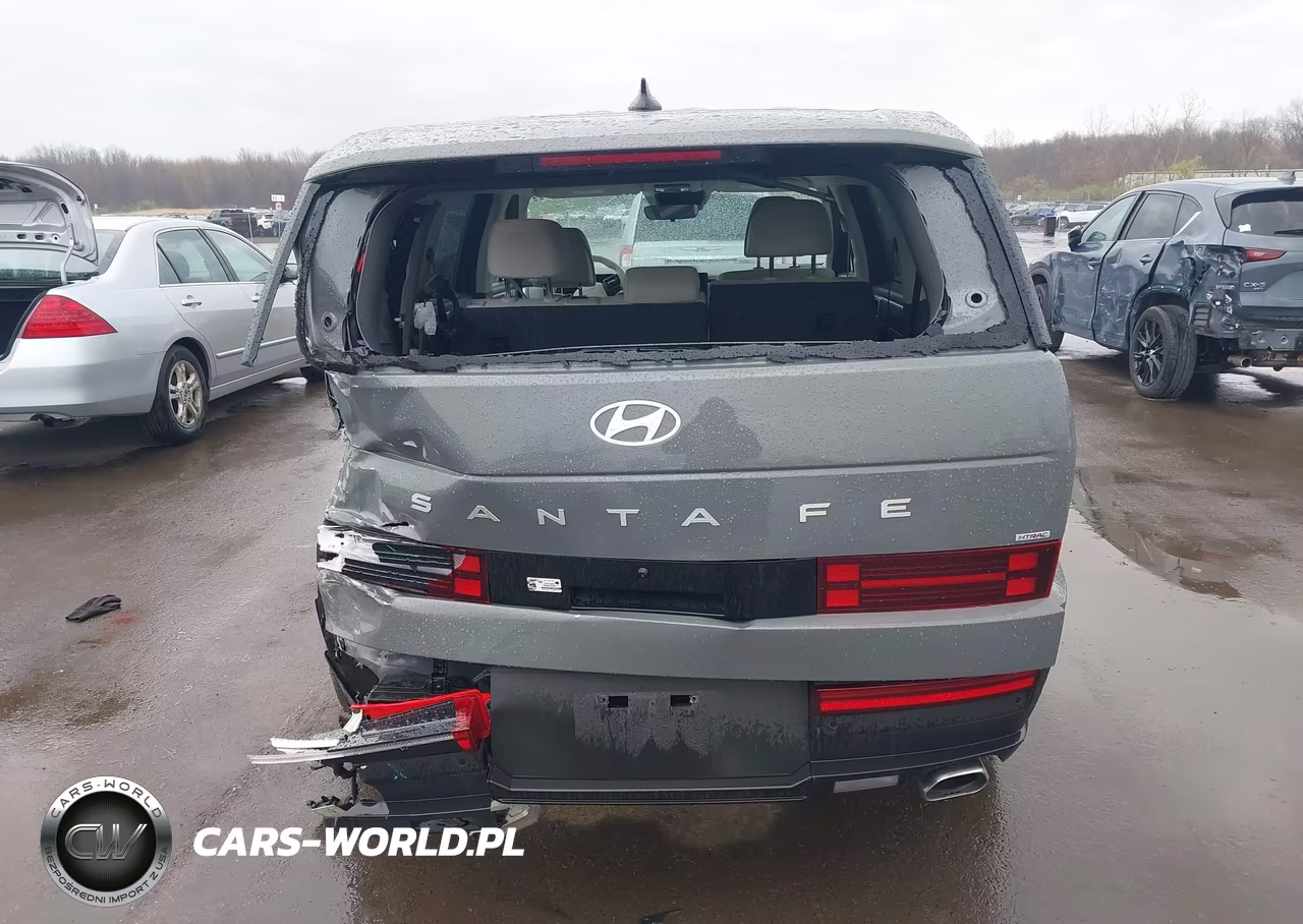 2025 Hyundai Santa Fe Se VIN:5NMP1DGL1SH113266 - 16