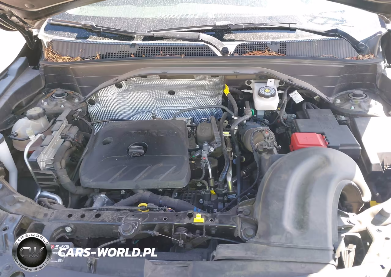 2024 Chevrolet Trailblazer Fwd Ls VIN:KL79MMSL3RB113739 - 10