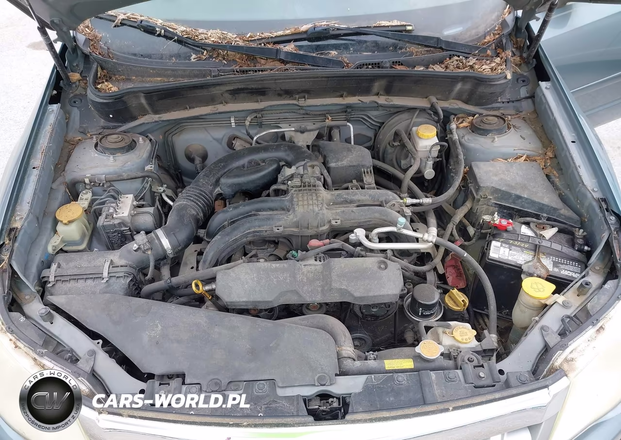 2011 Subaru Forester 2.5X Premium VIN:JF2SHBCC7BH782337 - 10
