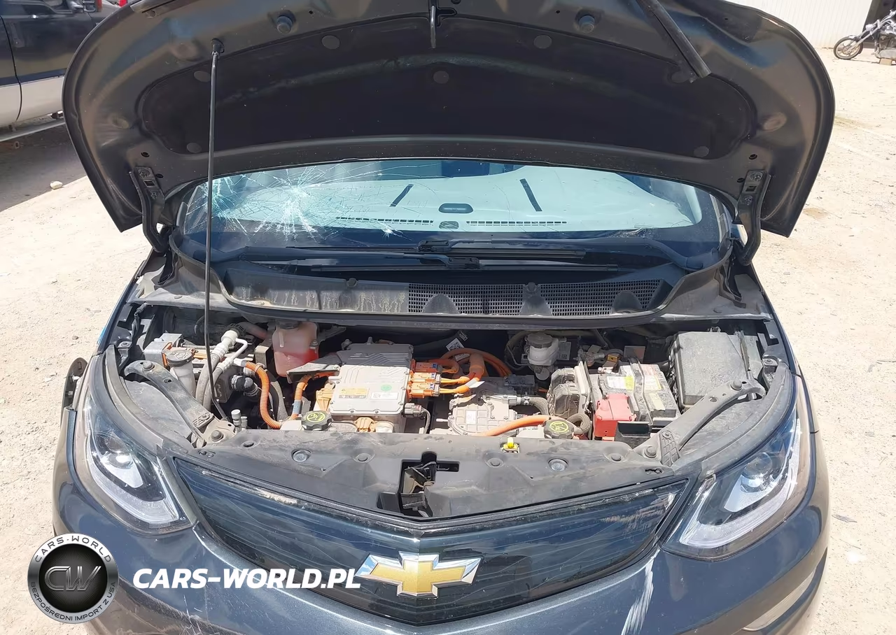 2017 Chevrolet Bolt Ev Premier VIN:1G1FX6S08H4125492 - 10