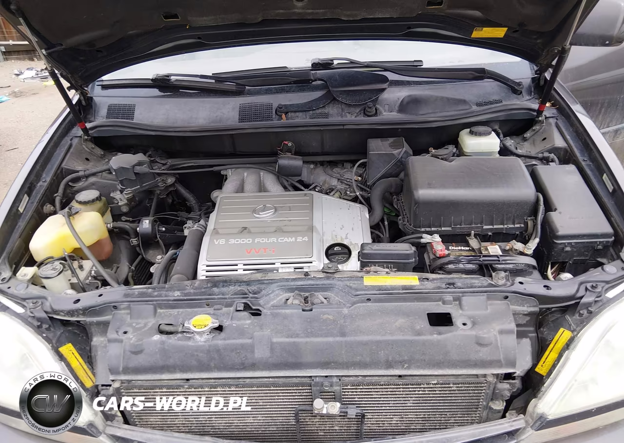 2002 Lexus Rx 300 VIN:JTJHF10U520278371 - 10