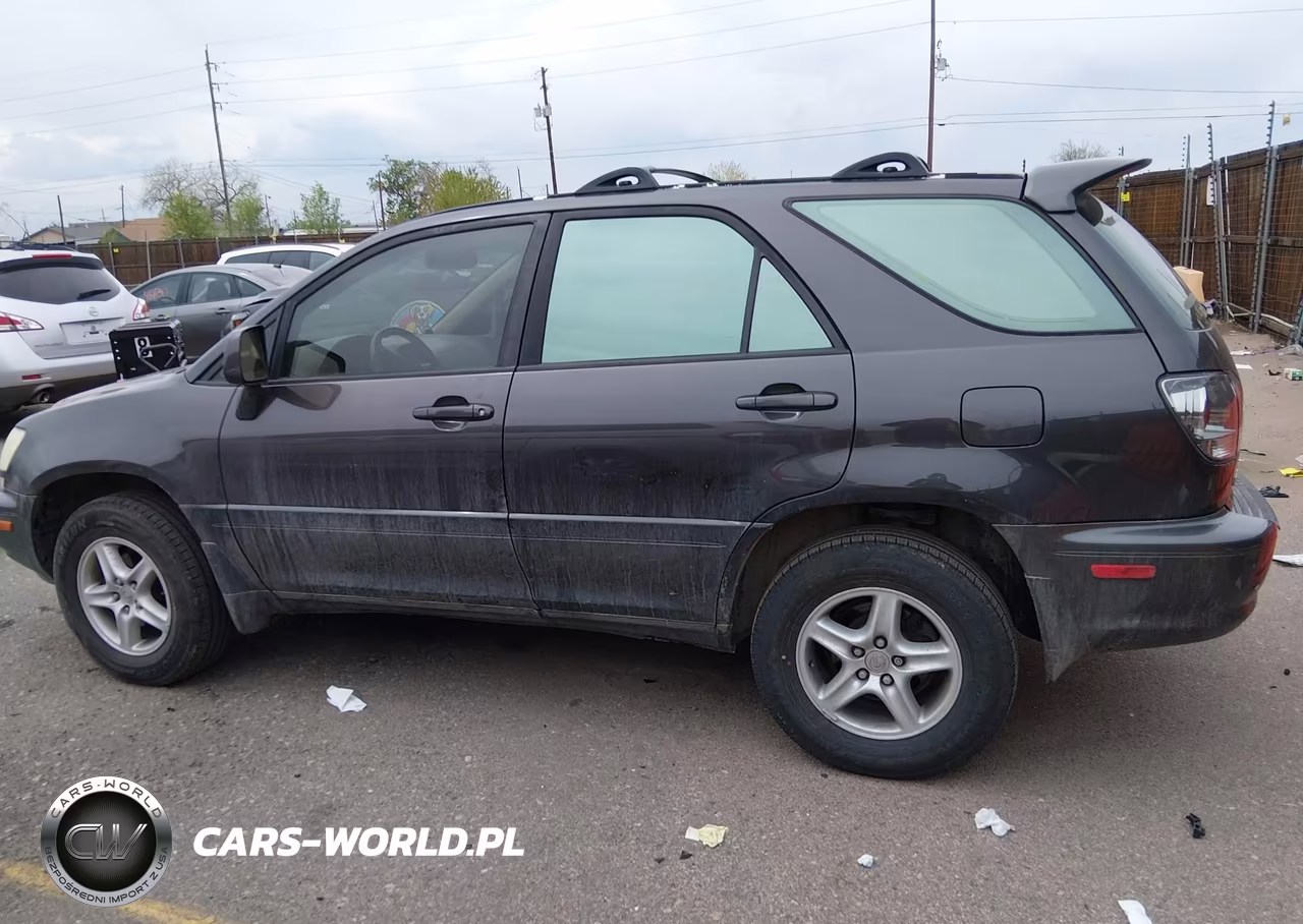 2002 Lexus Rx 300 VIN:JTJHF10U520278371 - 14