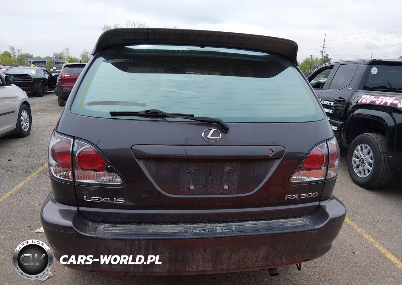 2002 Lexus Rx 300 VIN:JTJHF10U520278371 - 16