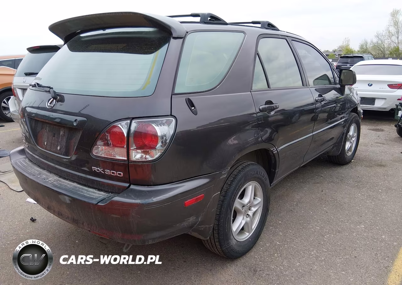 2002 Lexus Rx 300 VIN:JTJHF10U520278371 - 4
