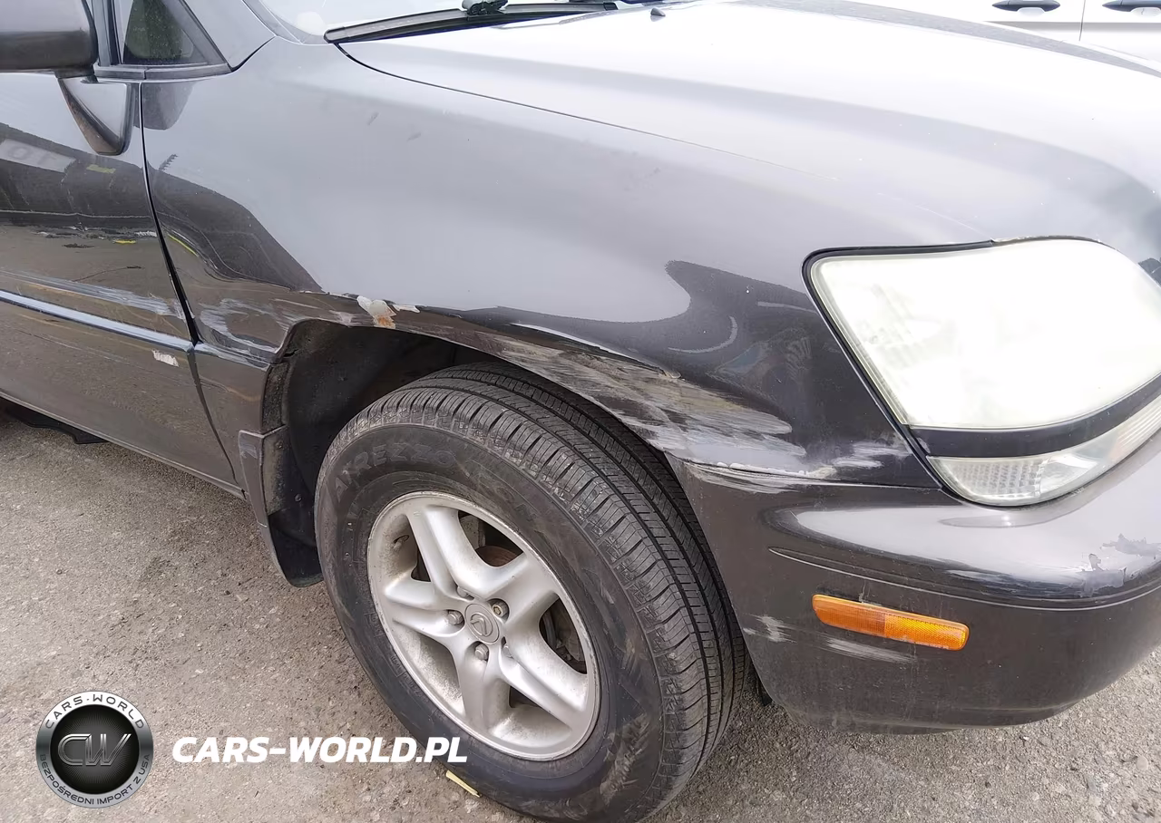 2002 Lexus Rx 300 VIN:JTJHF10U520278371 - 6