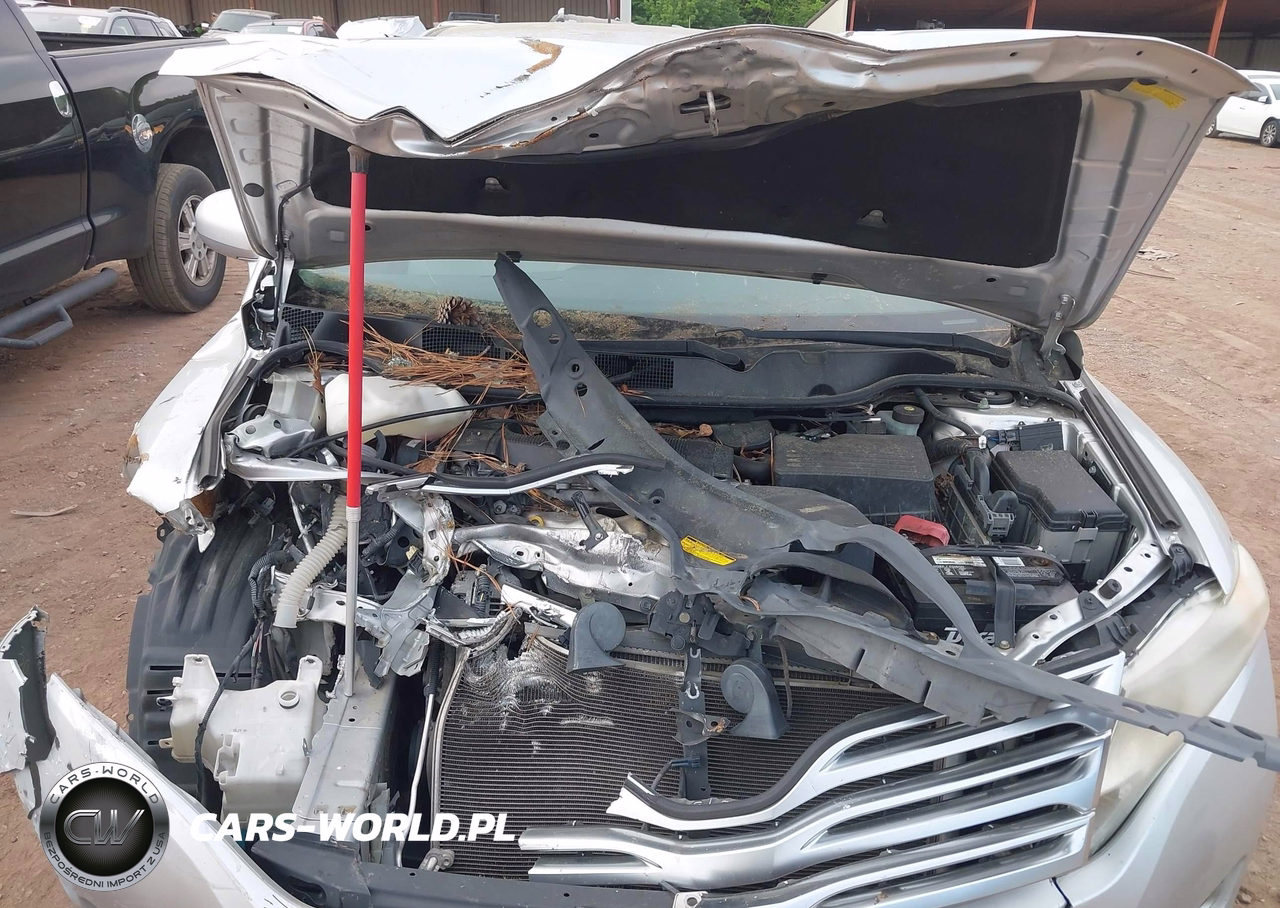 2012 Toyota Venza Le VIN:4T3ZA3BB9CU060282 - 10
