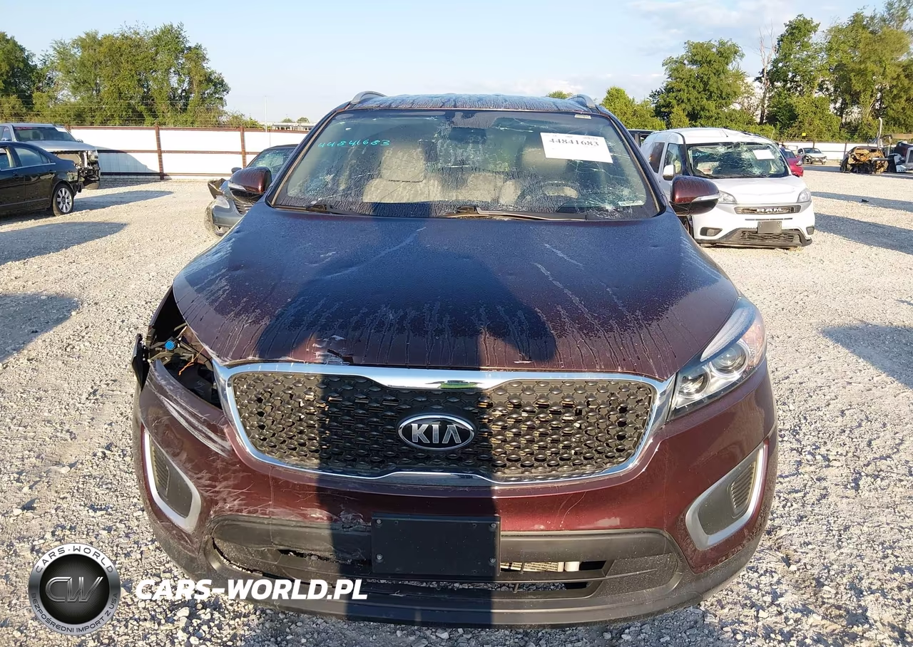 2017 Kia Sorento 2.4L Lx VIN:5XYPG4A32HG194711 - 13