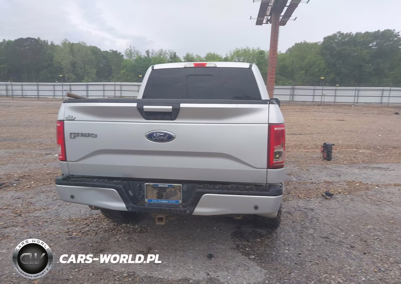 2016 Ford F-150 Xlt VIN:1FTEW1EG7GKF98795 - 15