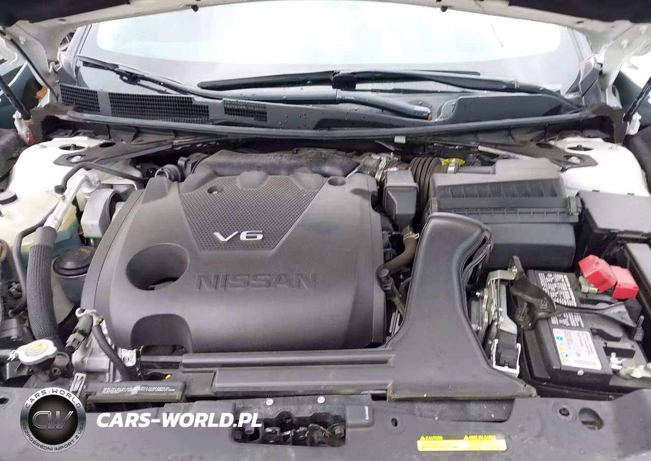 2023 Nissan Maxima Platinum Xtronic Cvt VIN:1N4AA6FV6PC503151 - 10
