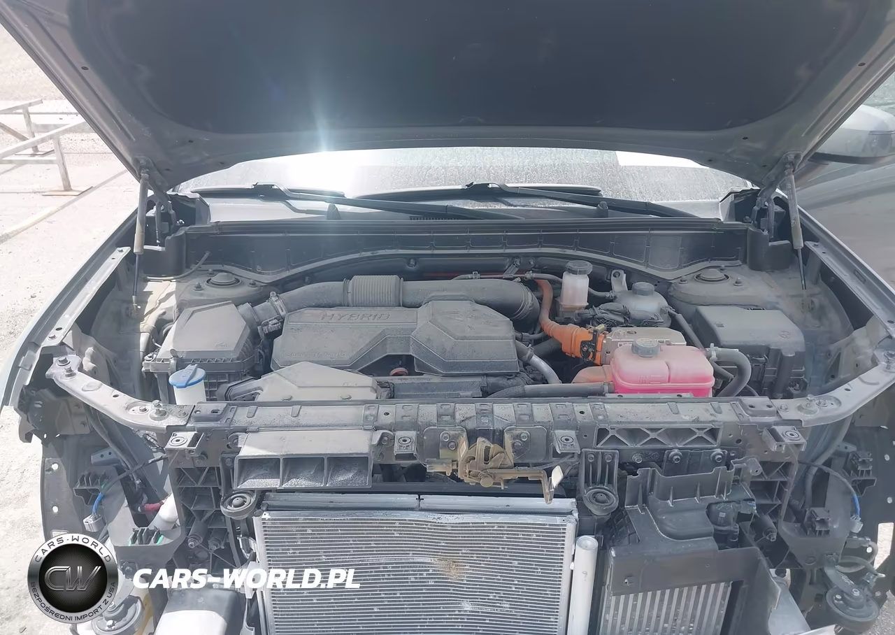 2024 Hyundai Santa Fe Hybrid Sel VIN:5NMP2DG12RH003445 - 10