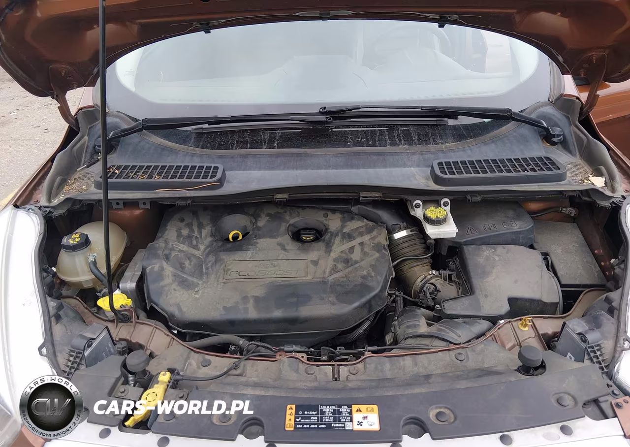 2017 Ford Escape Titanium VIN:1FMCU9J9XHUD11244 - 10