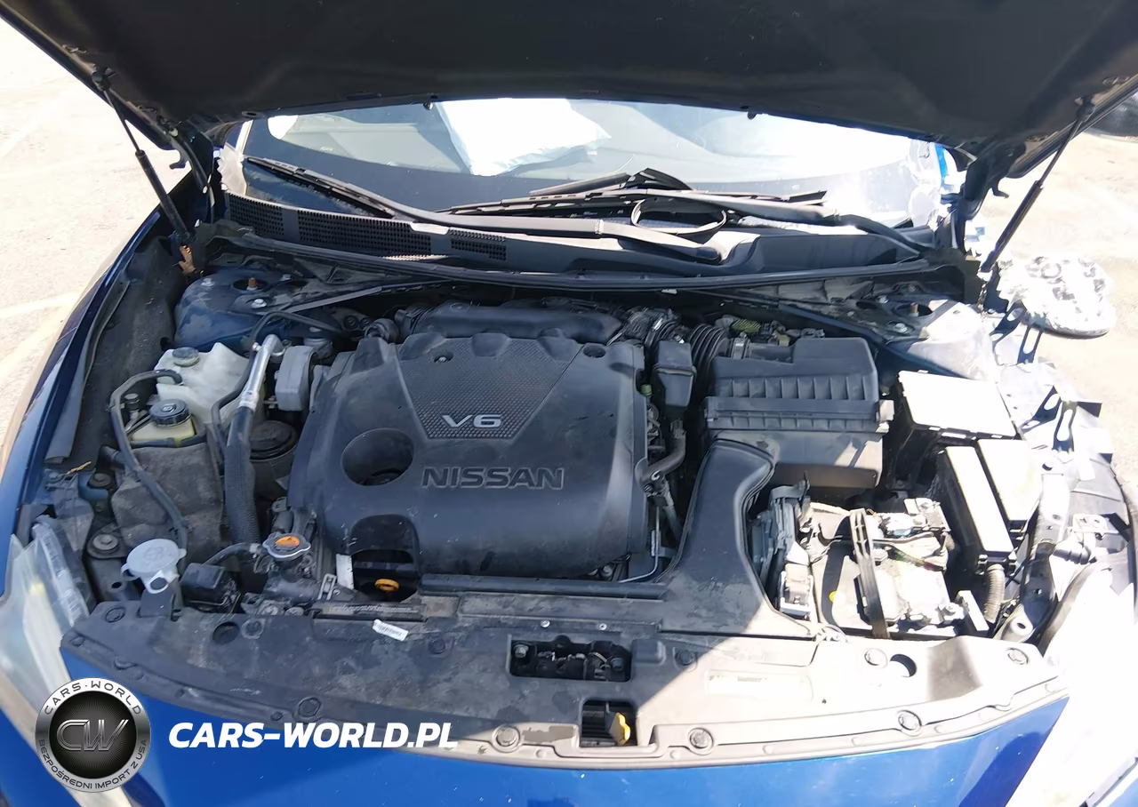 2017 Nissan Maxima 3.5 Platinum VIN:1N4AA6AP6HC371826 - 10