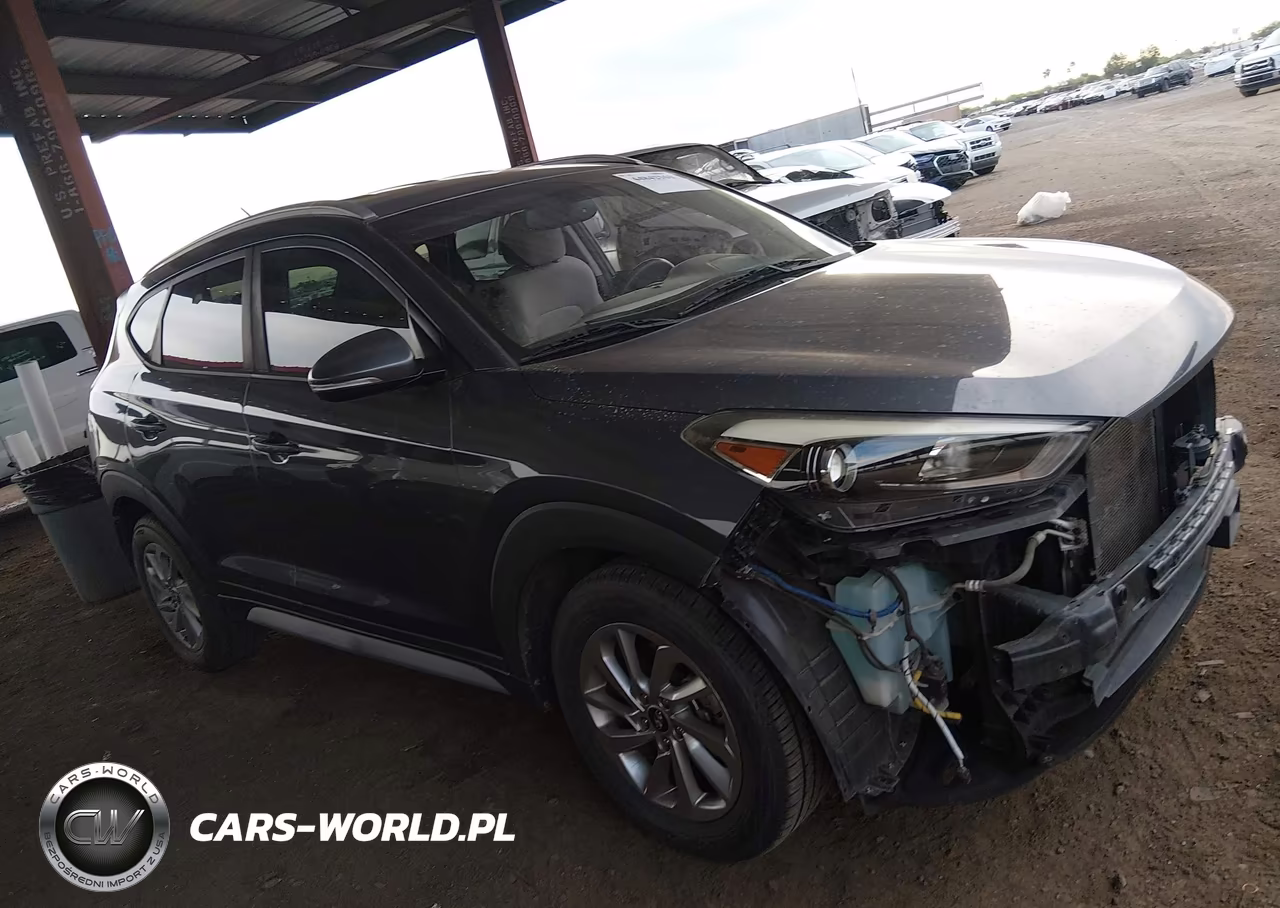 2017 Hyundai Tucson Eco VIN:KM8J33A27HU405544 - 19