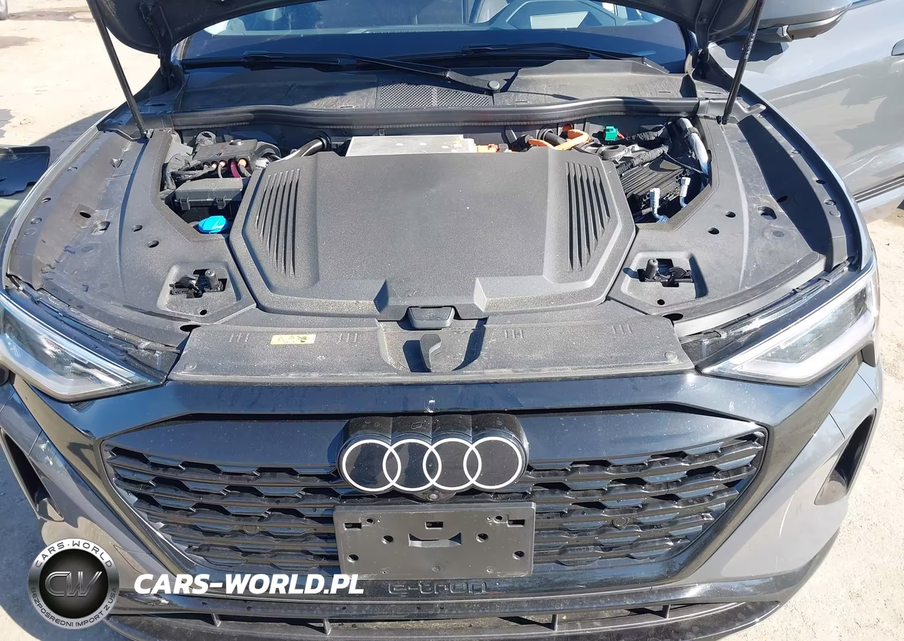 2024 Audi Q8 E-Tron Prestige Quattro VIN:WA16ABGE9RB007688 - 10