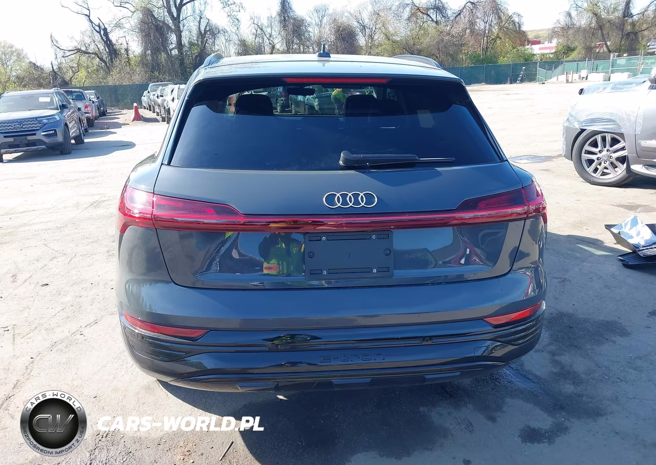 2024 Audi Q8 E-Tron Prestige Quattro VIN:WA16ABGE9RB007688 - 16