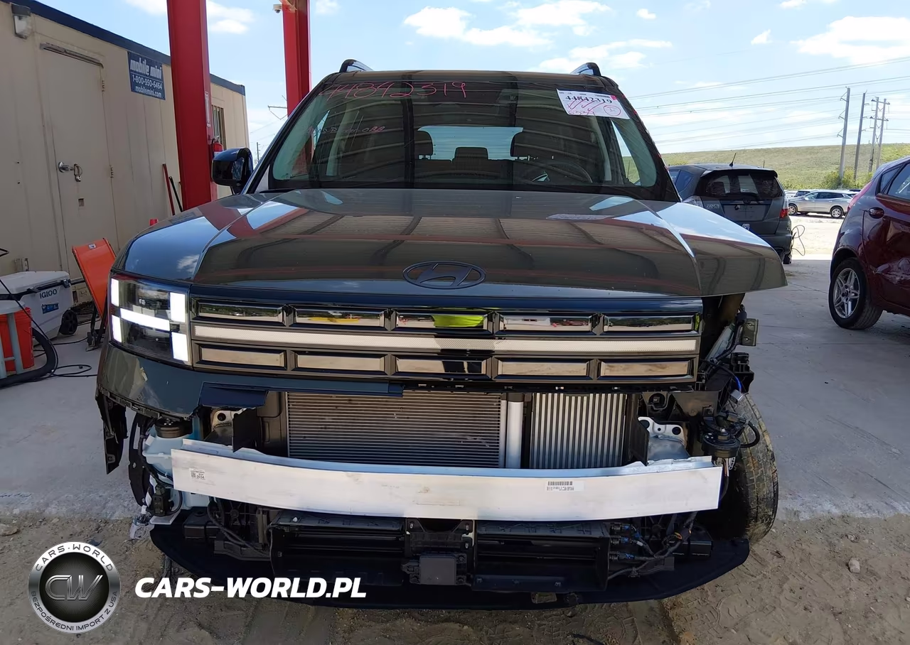 2025 Hyundai Santa Fe Xrt VIN:5NMP3DGL4SH104989 - 12