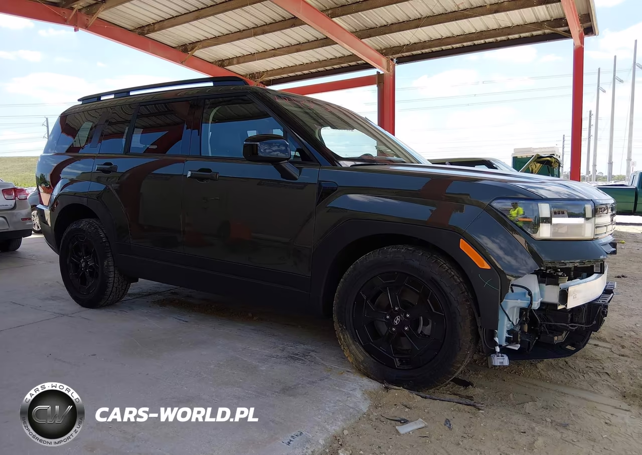 2025 Hyundai Santa Fe Xrt VIN:5NMP3DGL4SH104989 - 13