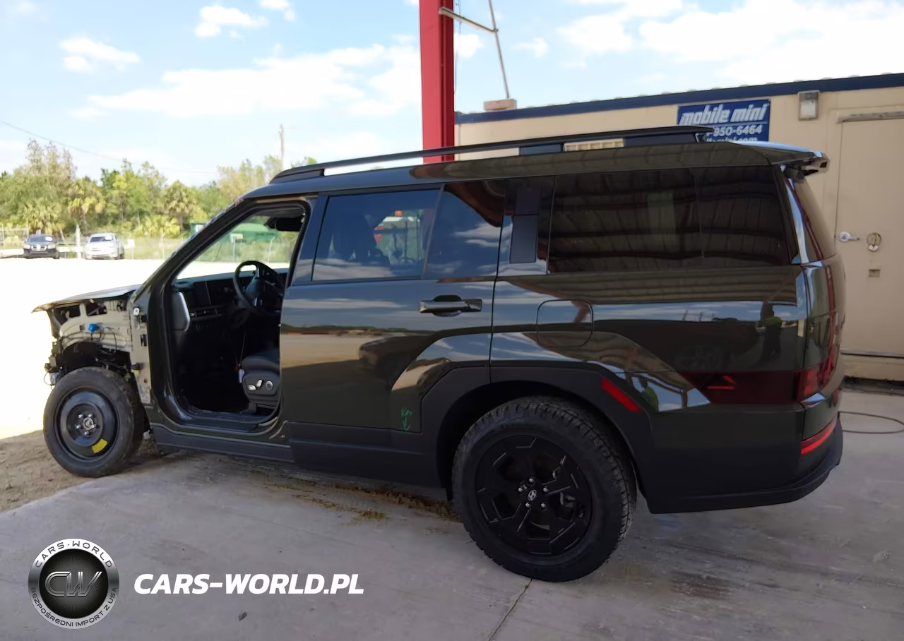 2025 Hyundai Santa Fe Xrt VIN:5NMP3DGL4SH104989 - 14