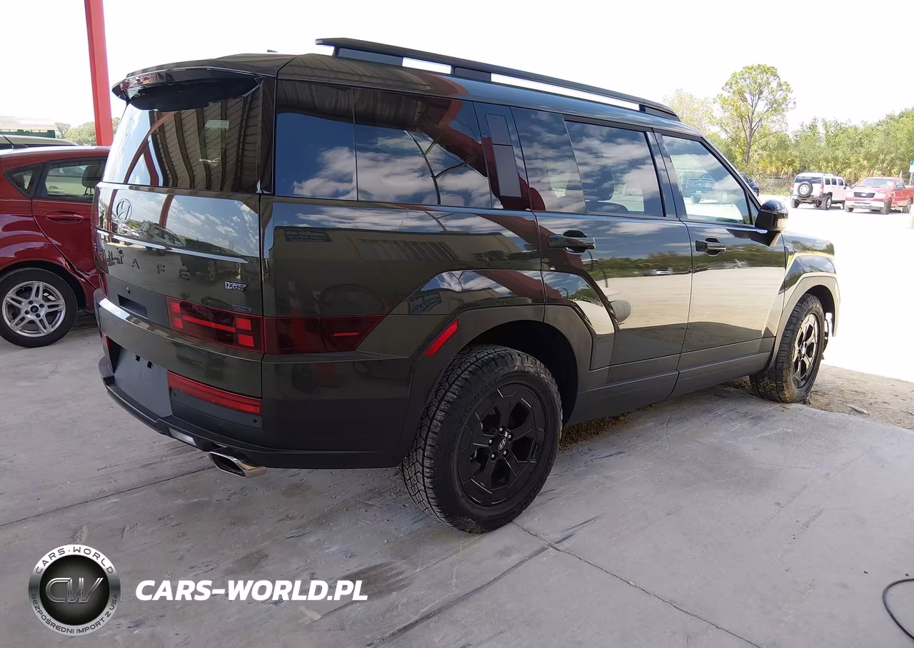 2025 Hyundai Santa Fe Xrt VIN:5NMP3DGL4SH104989 - 4