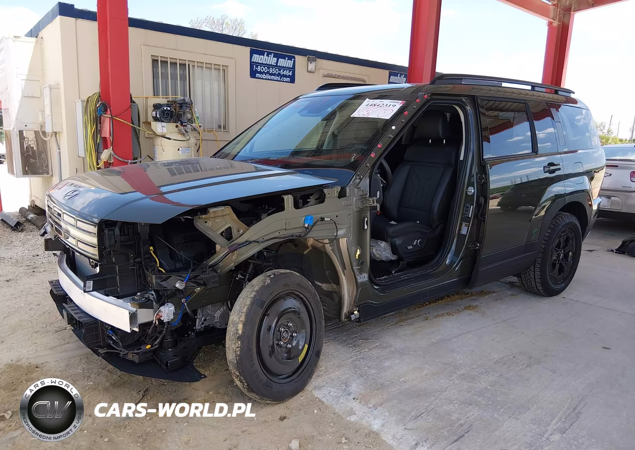 2025 Hyundai Santa Fe Xrt VIN:5NMP3DGL4SH104989 - 6