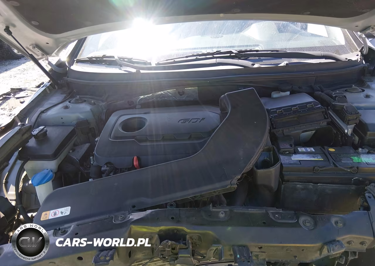 2016 Hyundai Sonata Se VIN:5NPE24AF2GH388663 - 10