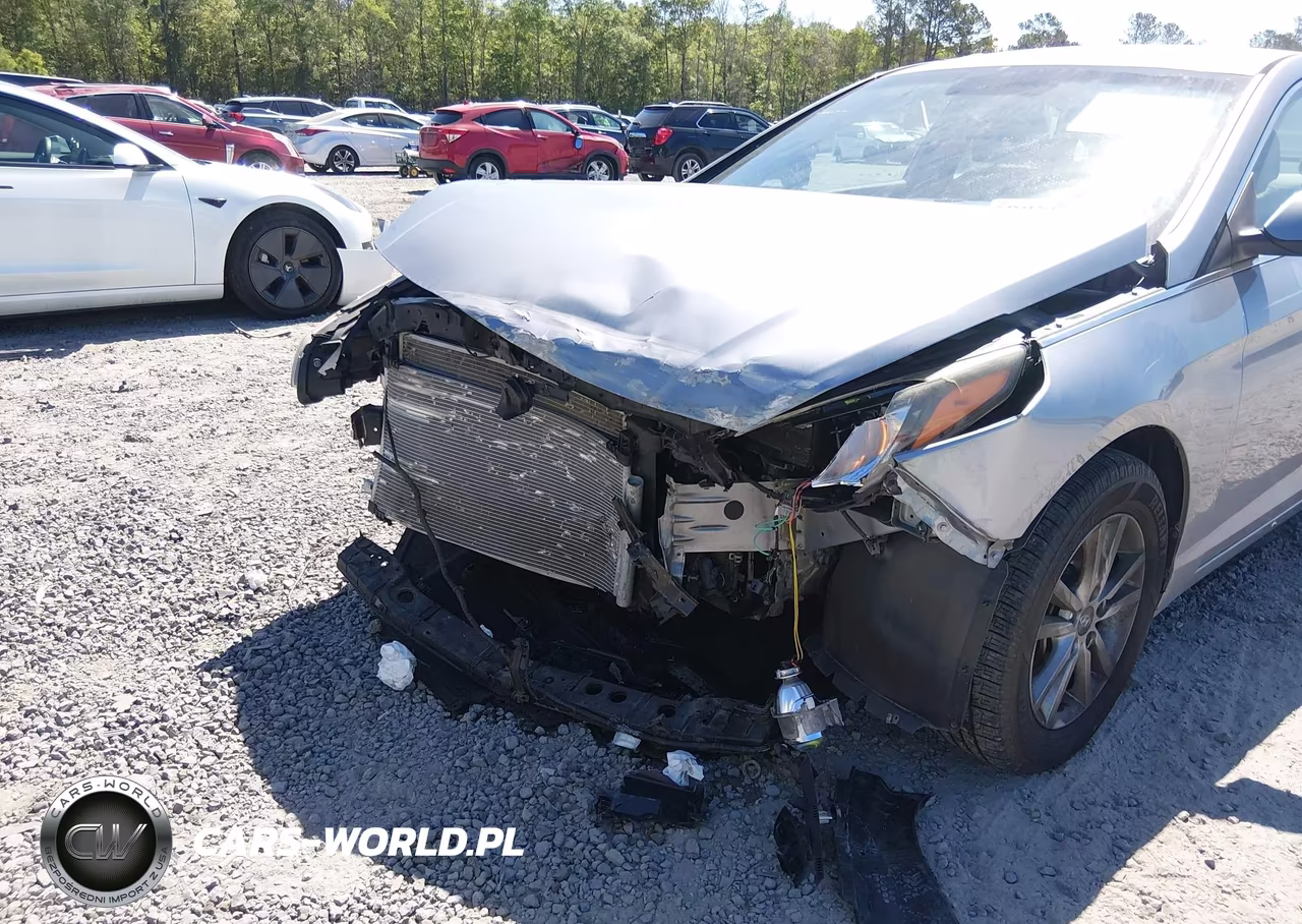 2016 Hyundai Sonata Se VIN:5NPE24AF2GH388663 - 6