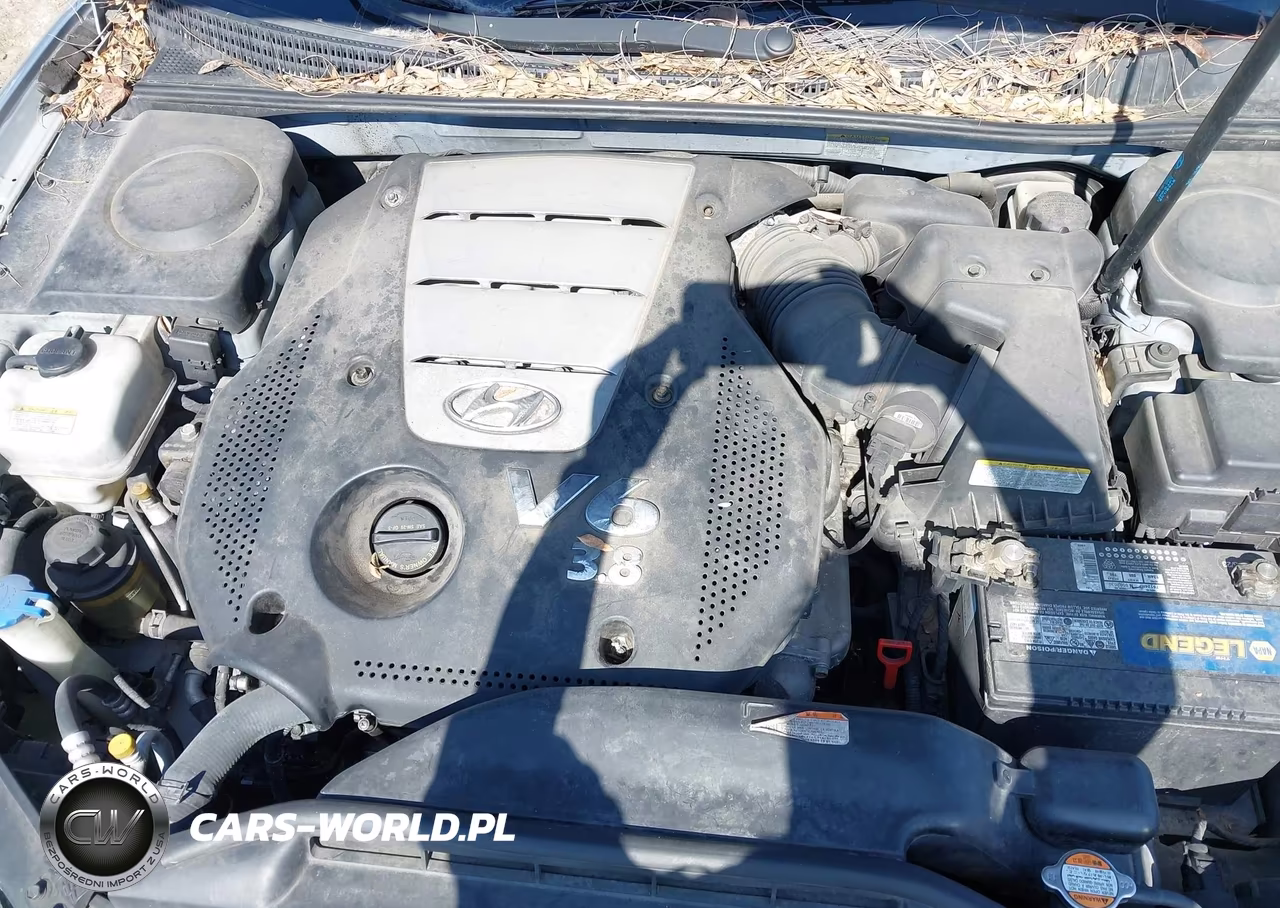 2008 Hyundai Azera Limited VIN:KMHFC46F28A256078 - 10