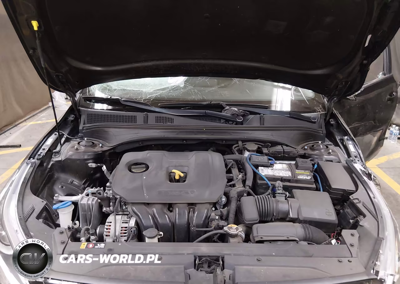 2020 Kia Forte Lxs VIN:3KPF24ADXLE227608 - 10