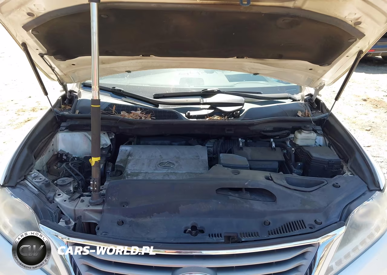 2014 Lexus Rx 350 VIN:2T2ZK1BA4EC138887 - 10