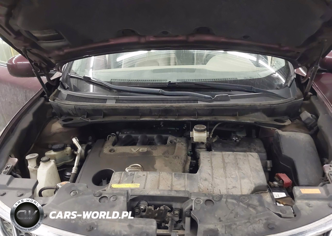 2013 Nissan Murano Le VIN:JN8AZ1MWXDW308072 - 10