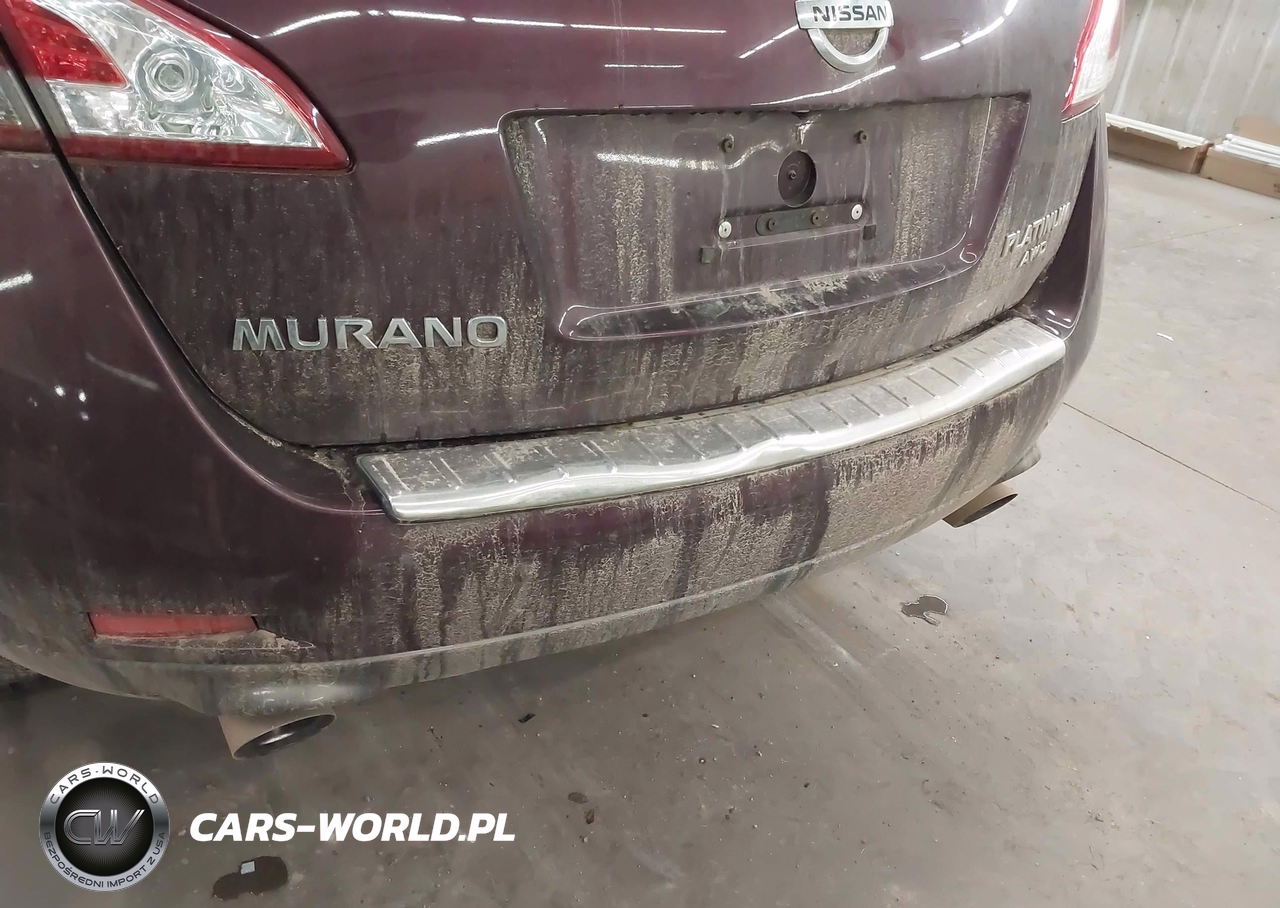 2013 Nissan Murano Le VIN:JN8AZ1MWXDW308072 - 6