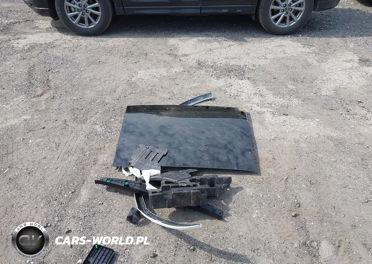 2023 Kia Sorento Sx VIN:5XYRKDLF0PG226794 - 11