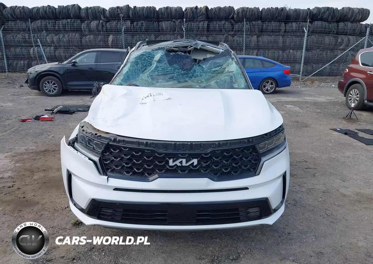 2023 Kia Sorento Sx VIN:5XYRKDLF0PG226794 - 12