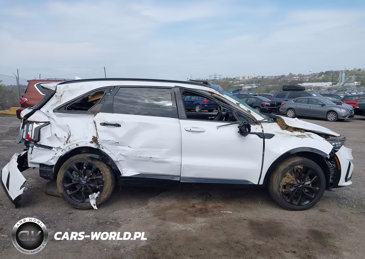 2023 Kia Sorento Sx VIN:5XYRKDLF0PG226794 - 13