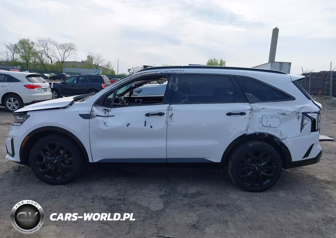 2023 Kia Sorento Sx VIN:5XYRKDLF0PG226794 - 14