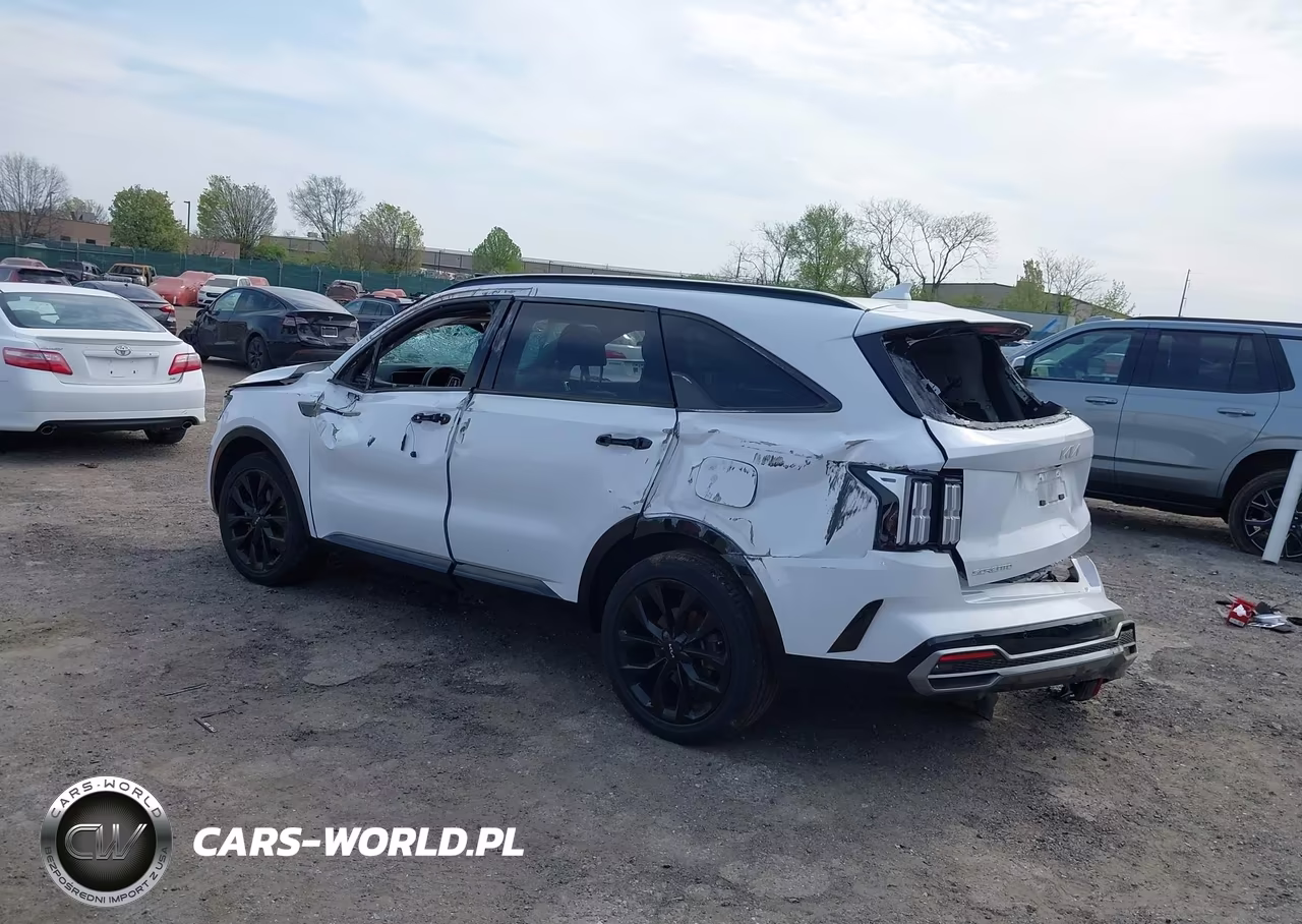 2023 Kia Sorento Sx VIN:5XYRKDLF0PG226794 - 3