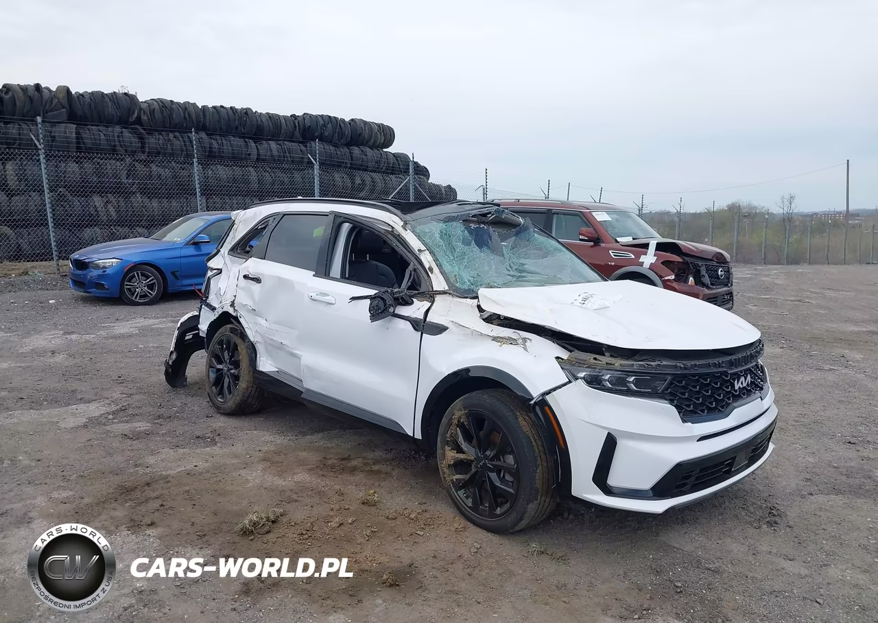 2023 Kia Sorento Sx VIN:5XYRKDLF0PG226794 - 6