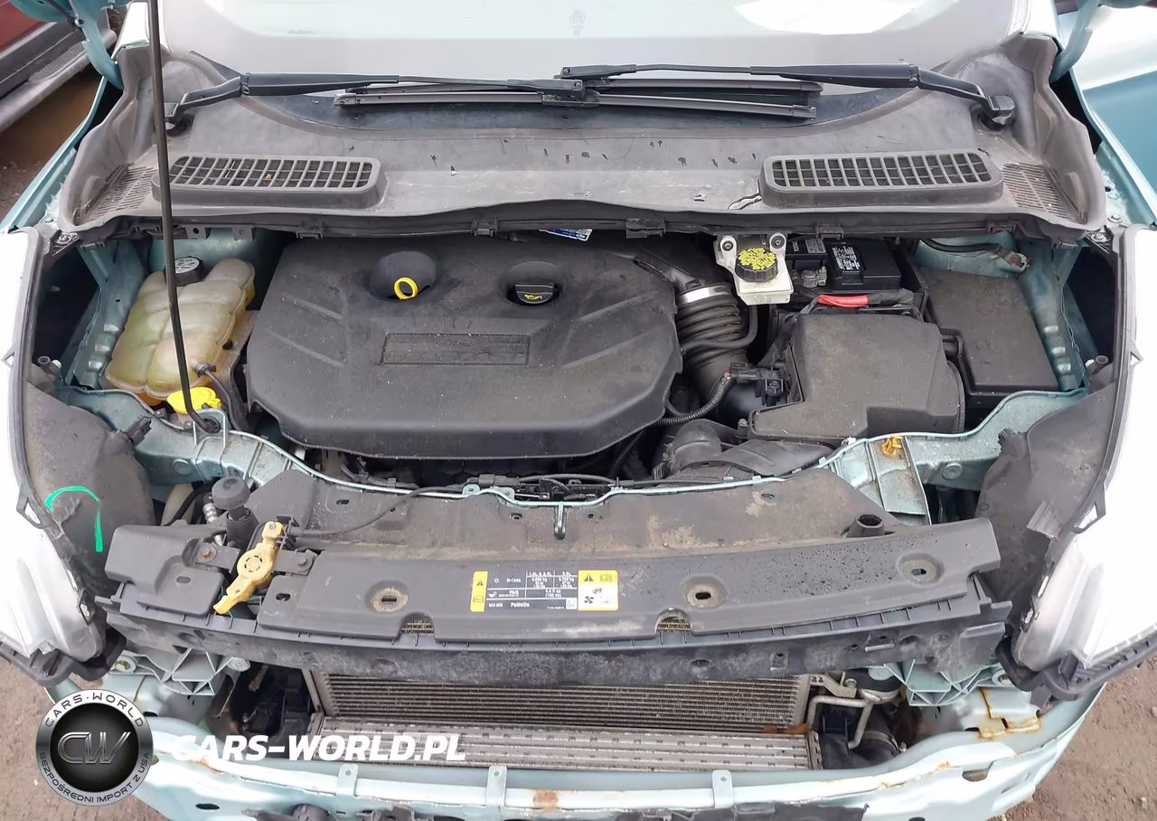 2013 Ford Escape Sel VIN:1FMCU9H99DUB49641 - 10