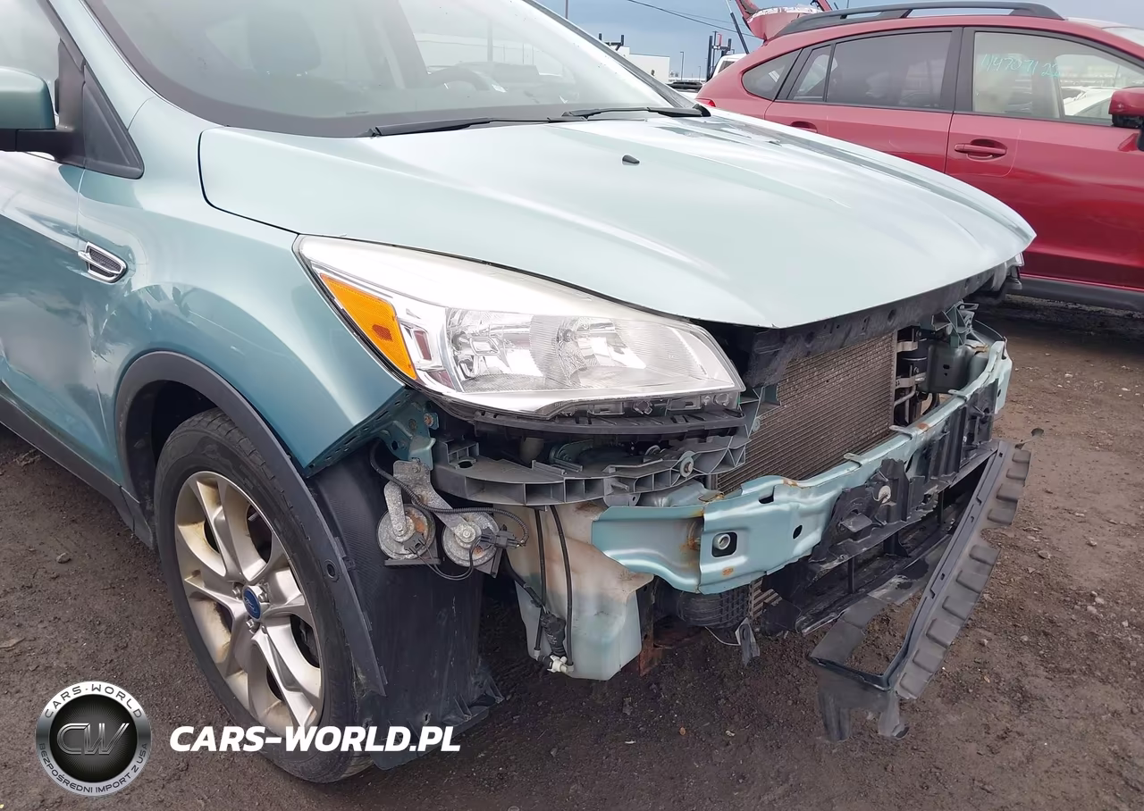 2013 Ford Escape Sel VIN:1FMCU9H99DUB49641 - 14