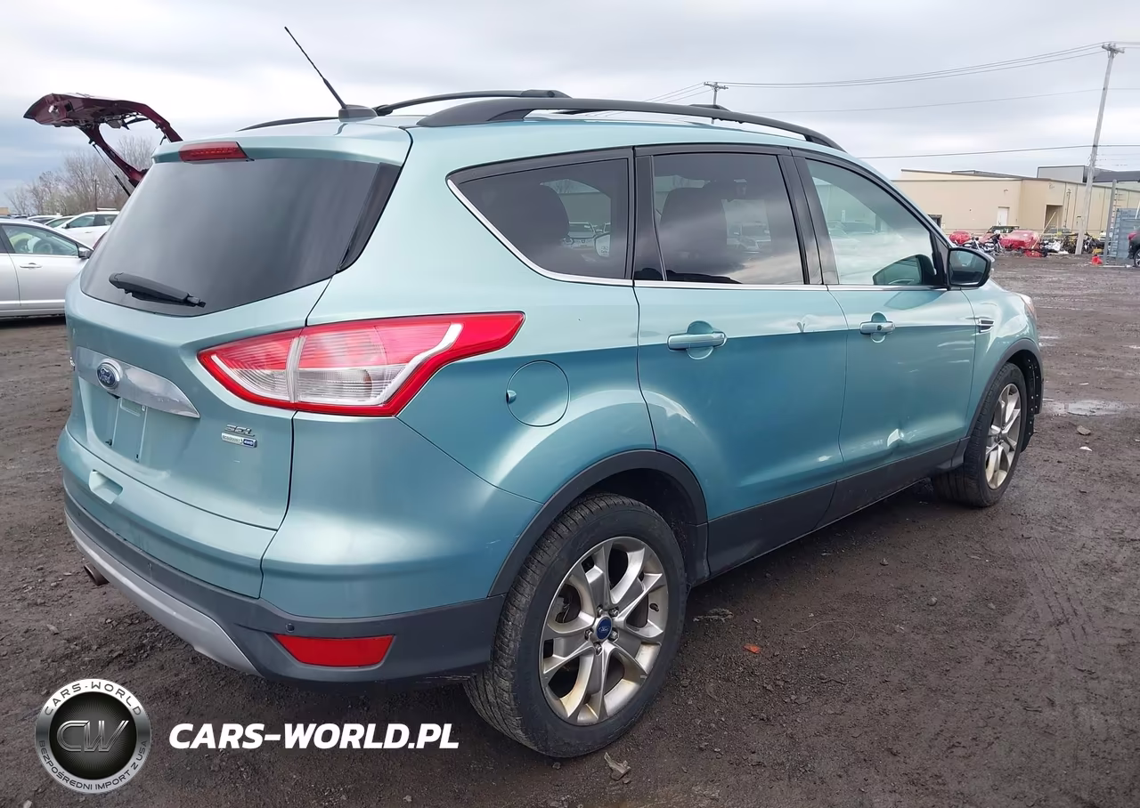 2013 Ford Escape Sel VIN:1FMCU9H99DUB49641 - 4