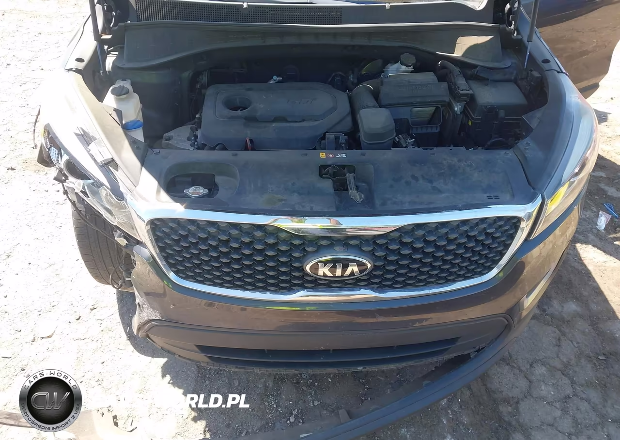 2018 Kia Sorento 2.4L Lx VIN:5XYPG4A31JG388362 - 10
