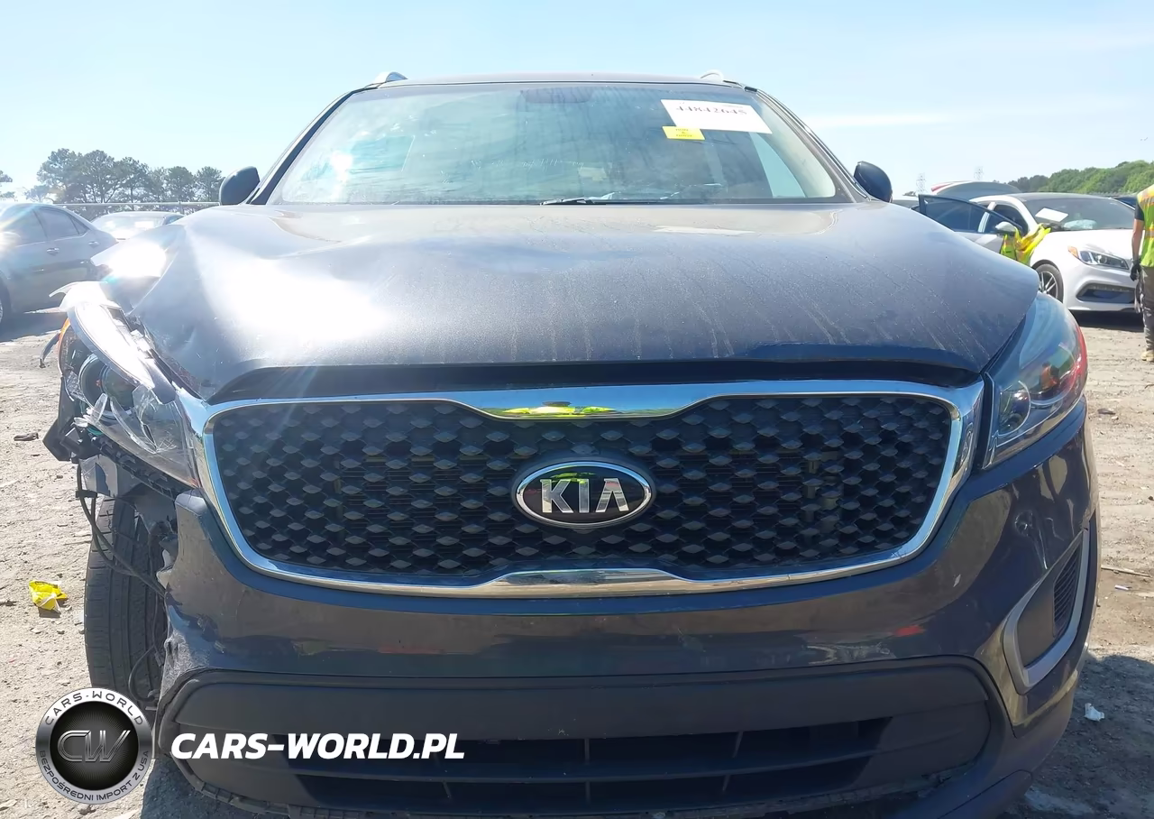 2018 Kia Sorento 2.4L Lx VIN:5XYPG4A31JG388362 - 12