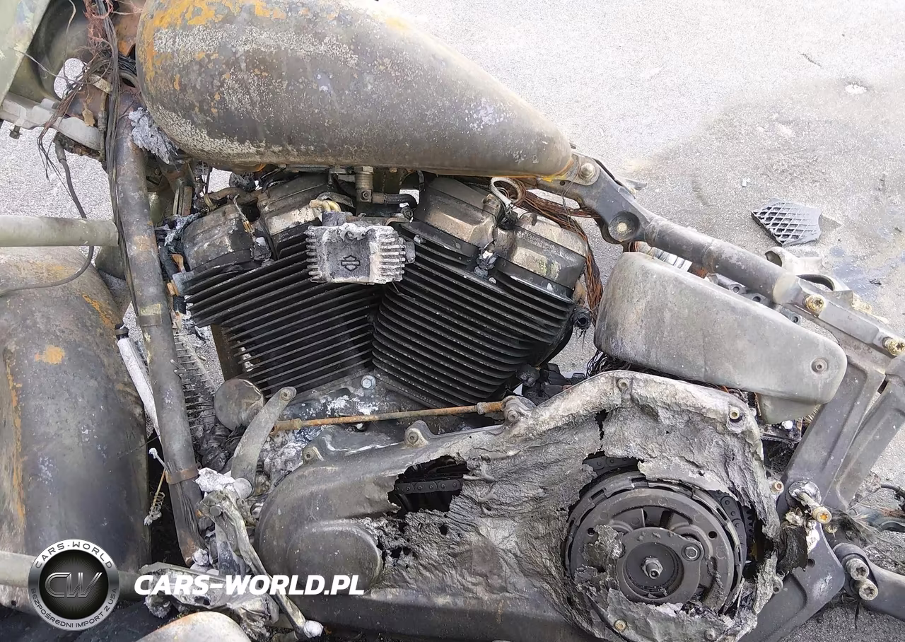 2019 Harley-Davidson Flde VIN:1HD1YCJ20KB055276 - 9