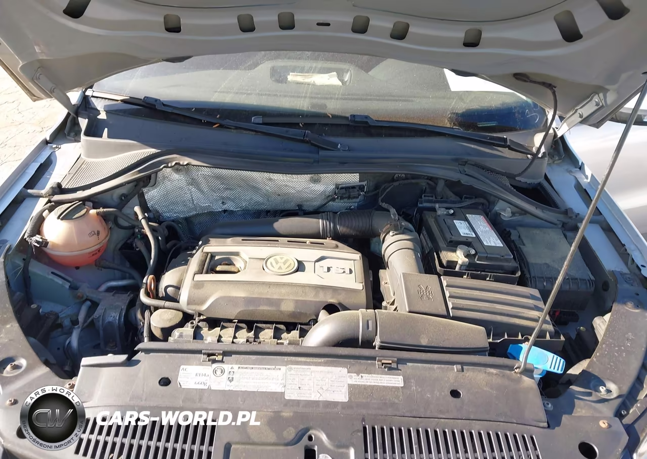2012 Volkswagen Tiguan S VIN:WVGBV7AXXCW566999 - 10