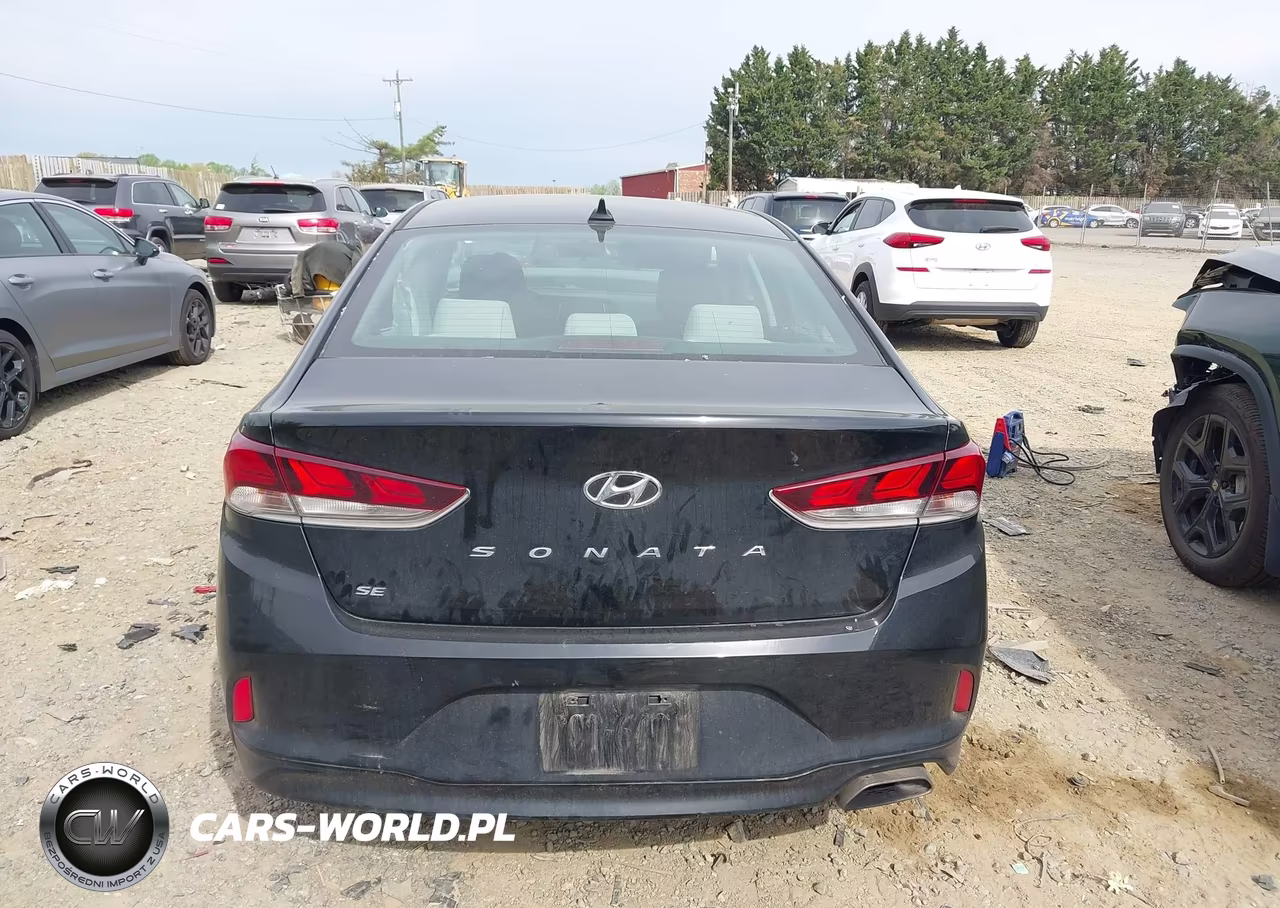 2019 Hyundai Sonata Se VIN:5NPE24AF3KH759242 - 16